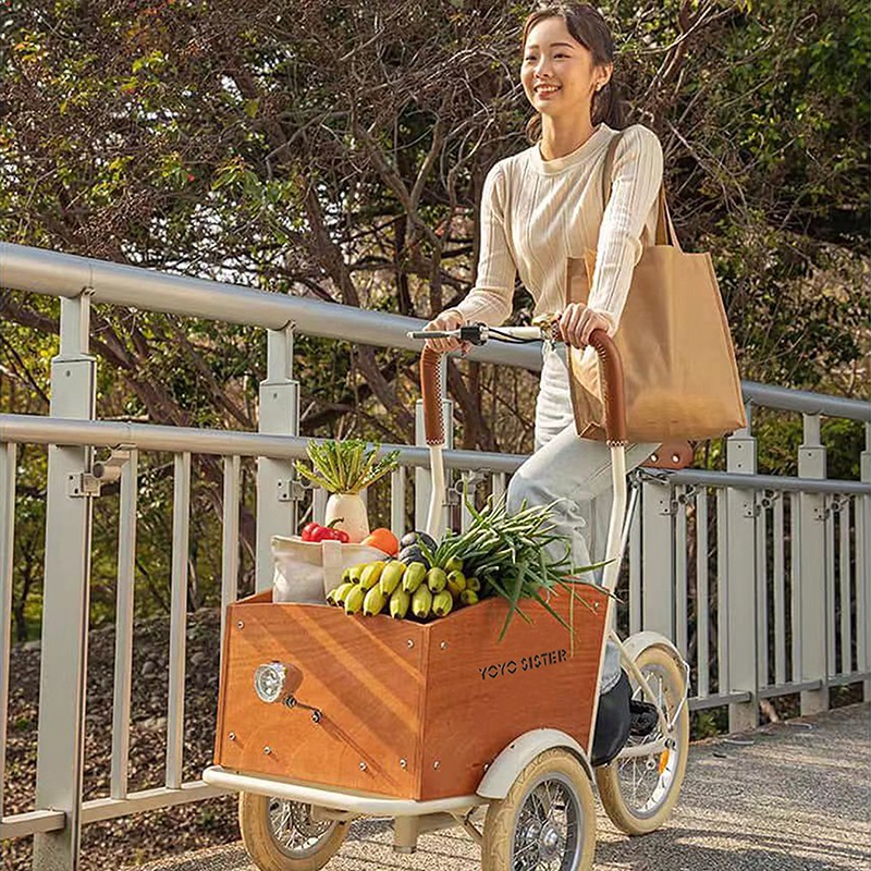 Heißer Verkauf umgekehrtes Dreirad-Fahrrad kann Haustiere nehmen Kinder nehmen Express Elternkinderfahrrad