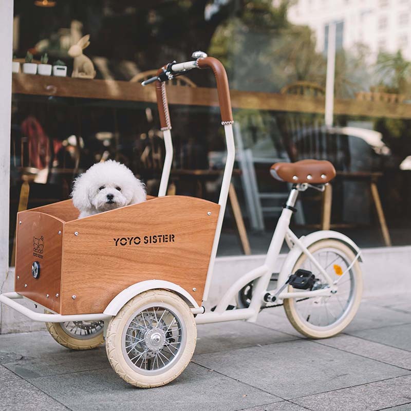 Hot Selling Reverse Three - wheel bike can take pets take Children take Express parent - vélo d'enfant