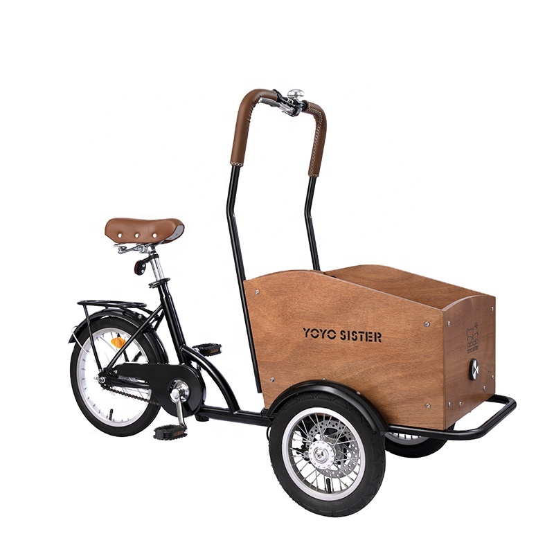 Hot Selling Reverse Three - wheel bike can take pets take Children take Express parent - vélo d'enfant