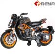 10181454224